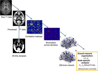 Impaired Topological Properties of Gray Matter Structural Covariance Network in Epilepsy Children With Generalized Tonic–Clonic Seizures: A <mark class="highlighted">Graph Theoretical Analysis</mark>